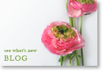 Catherine Kiff-Vozza Blog